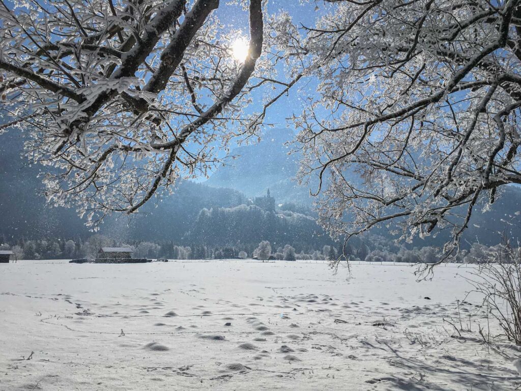 Winter mit Sicht auf Schloss Neuschwanstein